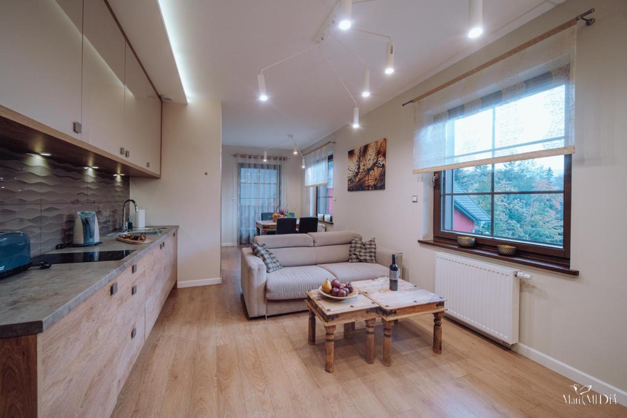 Dolina Wikingow Apartament Oye 13 Szklarska Poreba Luaran gambar